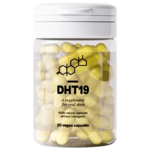 DHT19